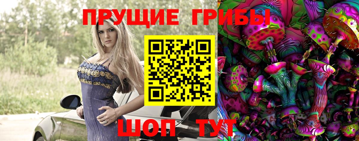 Минусинск  Галлюциногенные грибы GOLDEN TEACHER  Вход с VPN  Галлюциногенные грибы мухоморы 